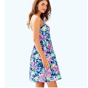 Lilly Easton Dress in Nauti Navy Capri Soleil